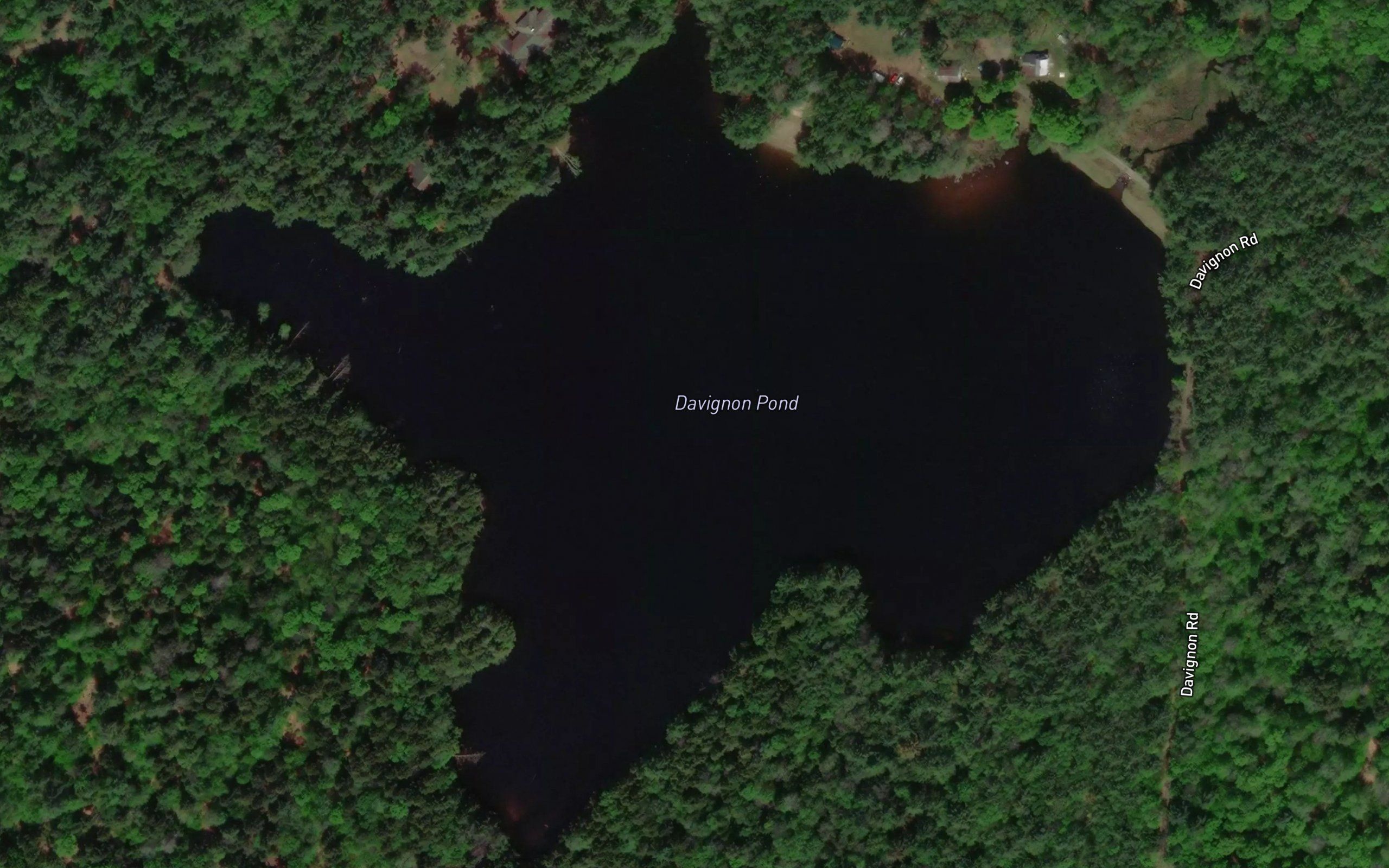 Davignon Pond