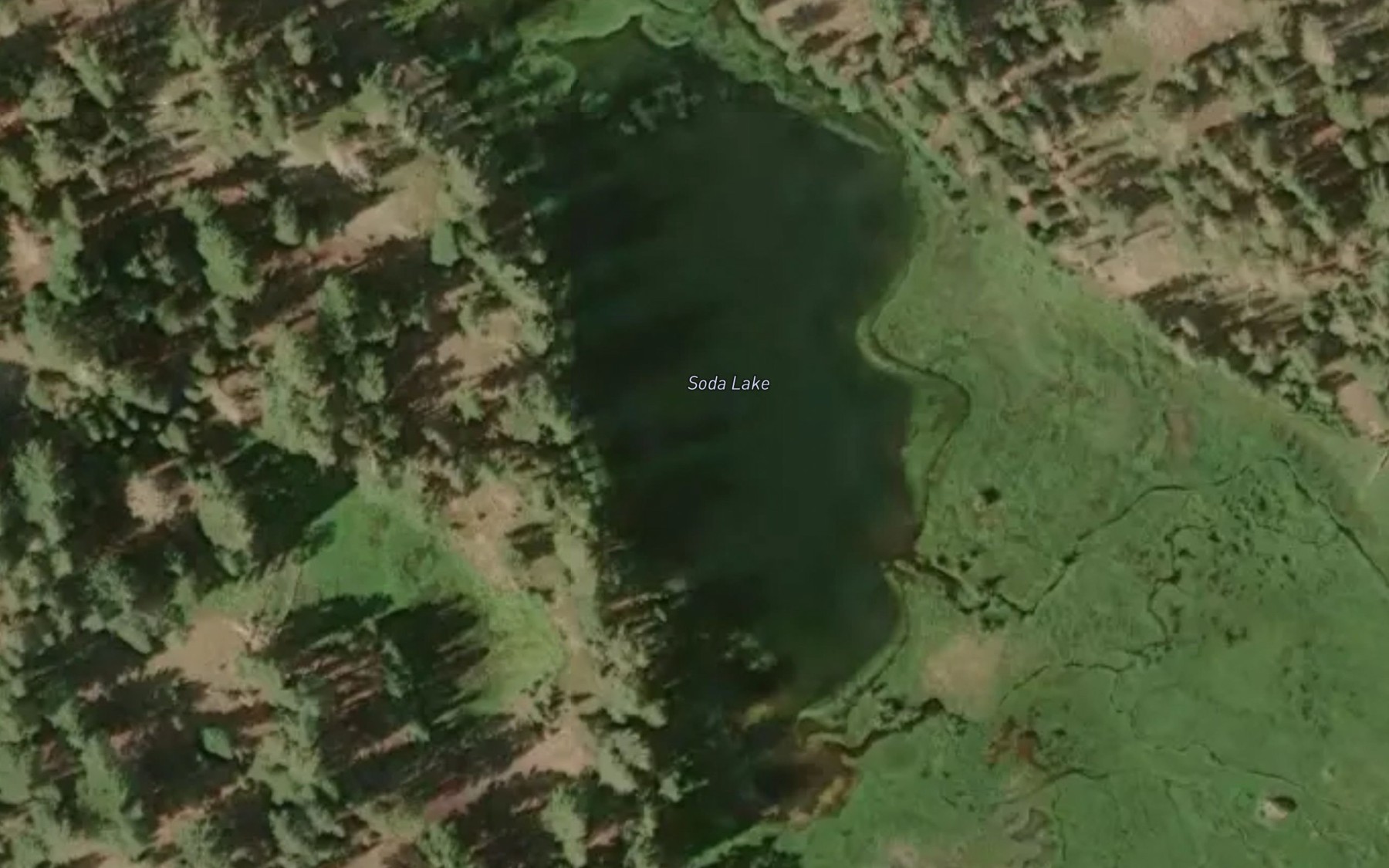 Satellite map of the Soda Lake