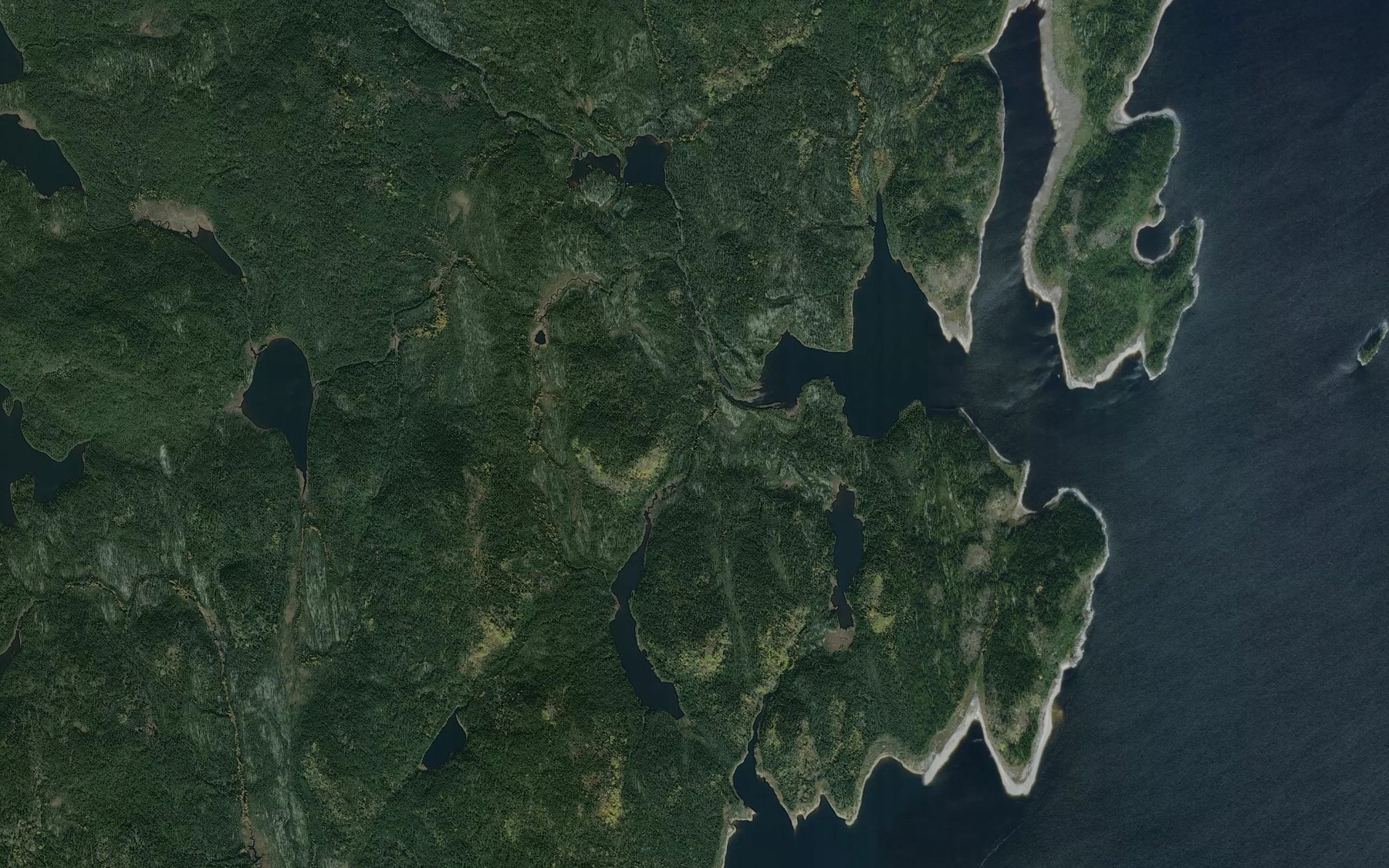 Satellite map of the Ruisseau Kauashatshuss