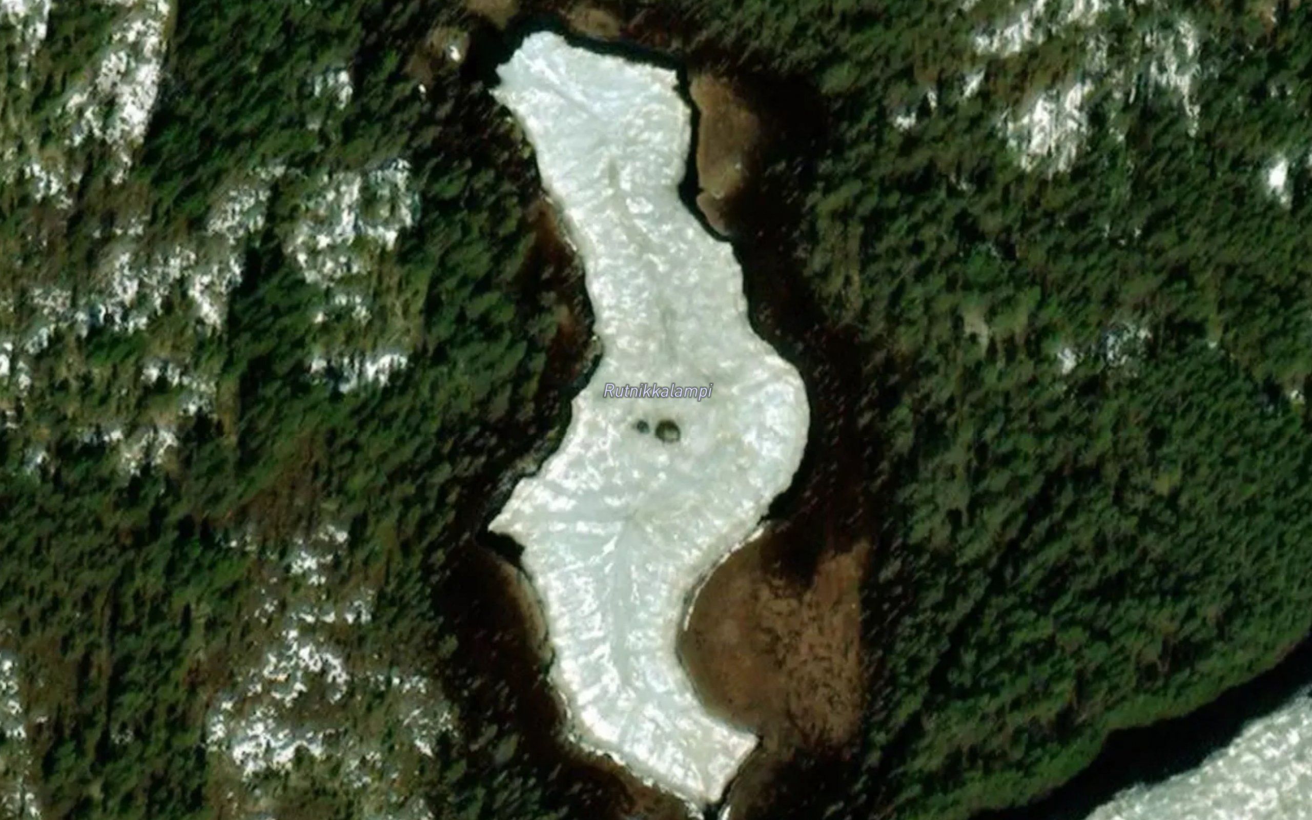 Rutnikkalampi