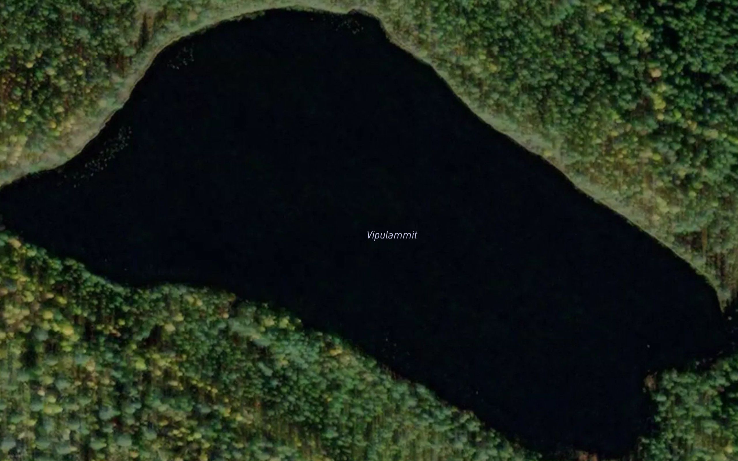 Vipulammit