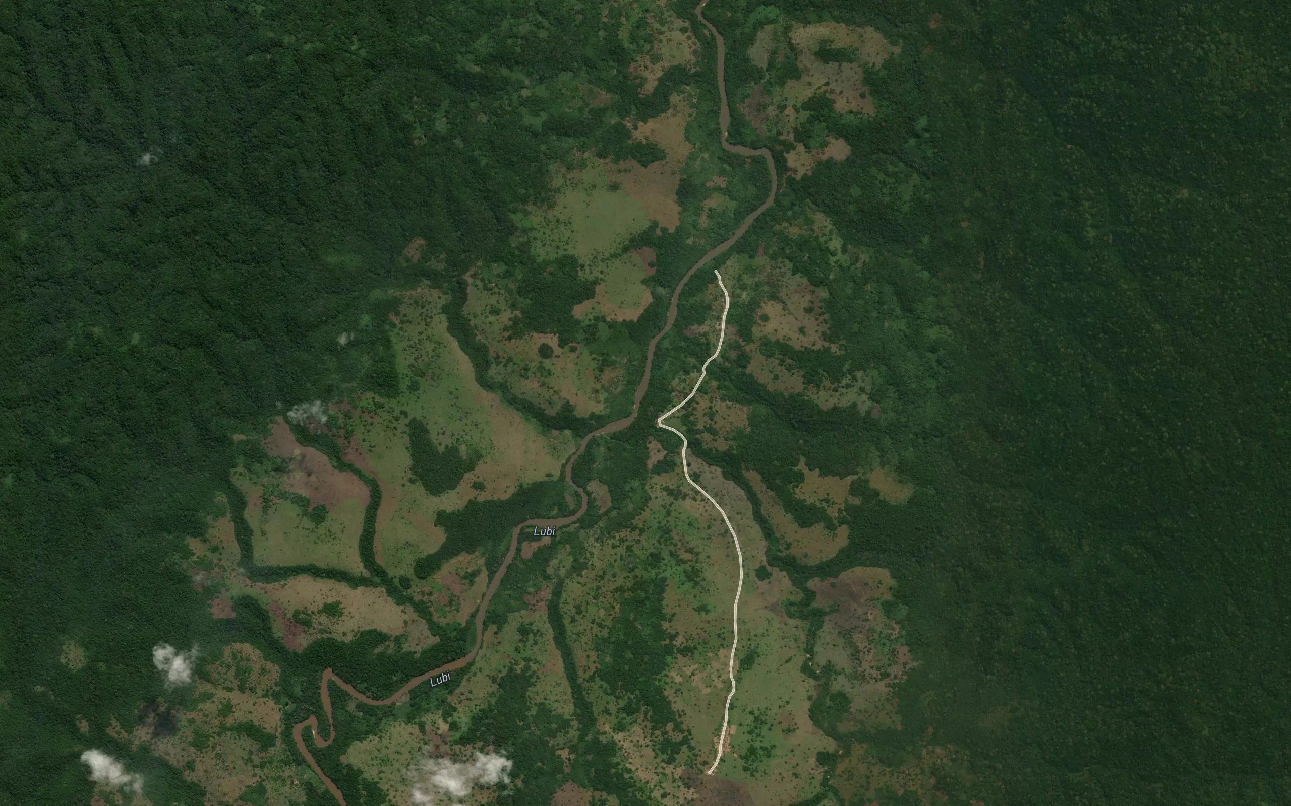 Musangaie