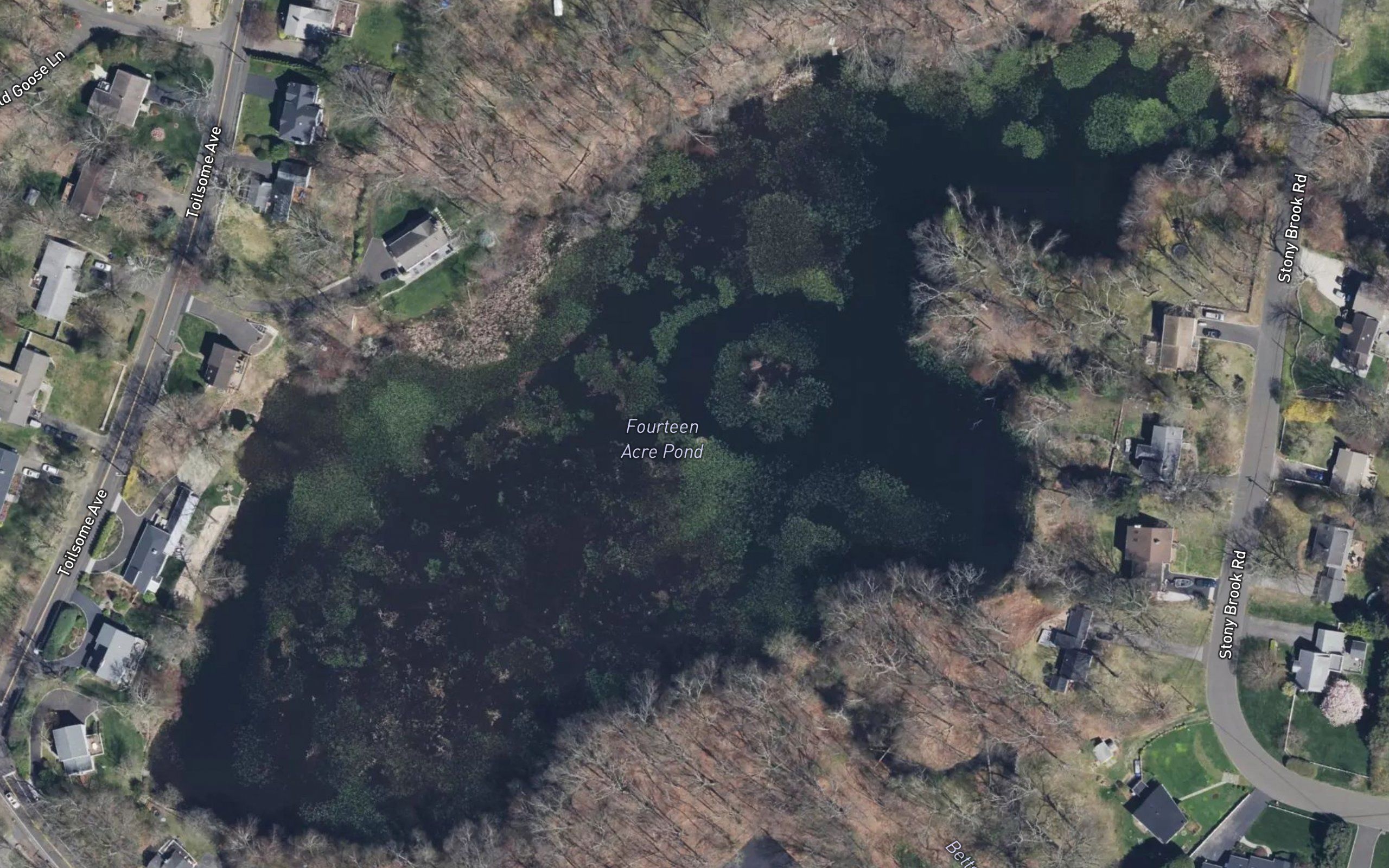 Fourteen Acre Pond
