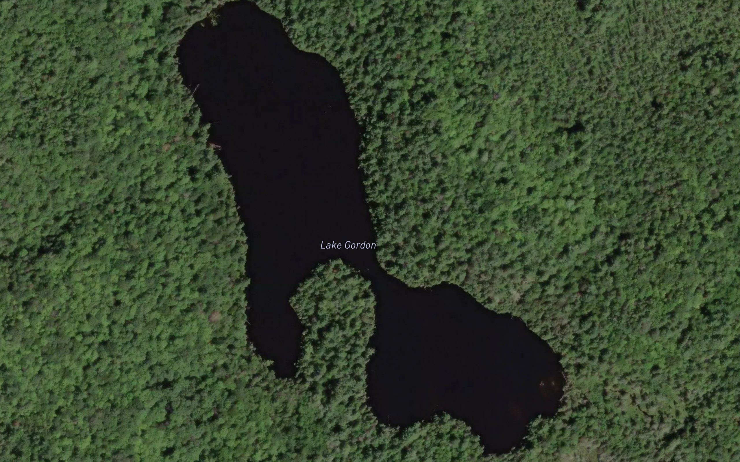 Lake Gordon