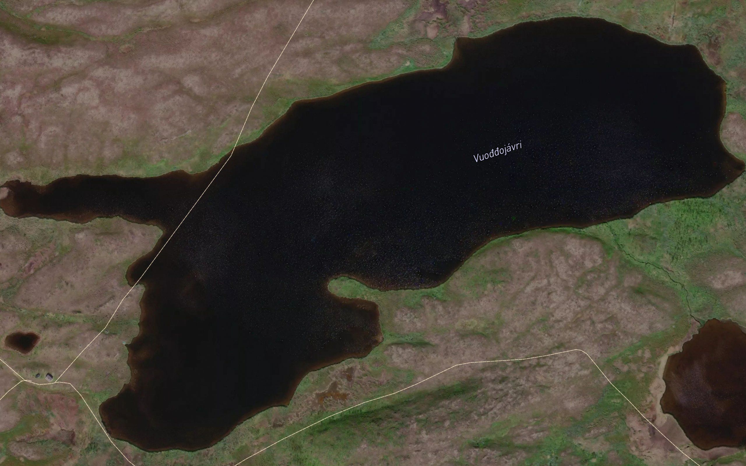 Vuoggujavri