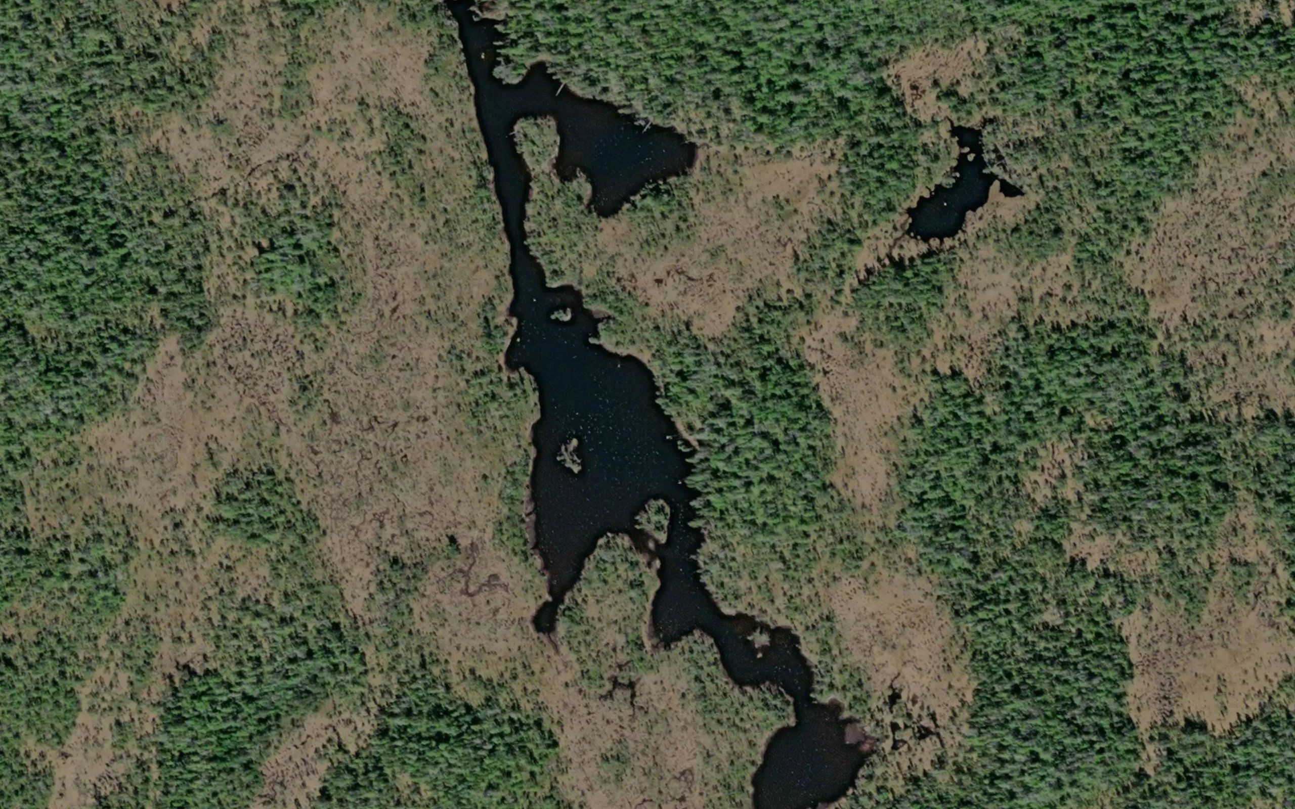 Harrys Lake