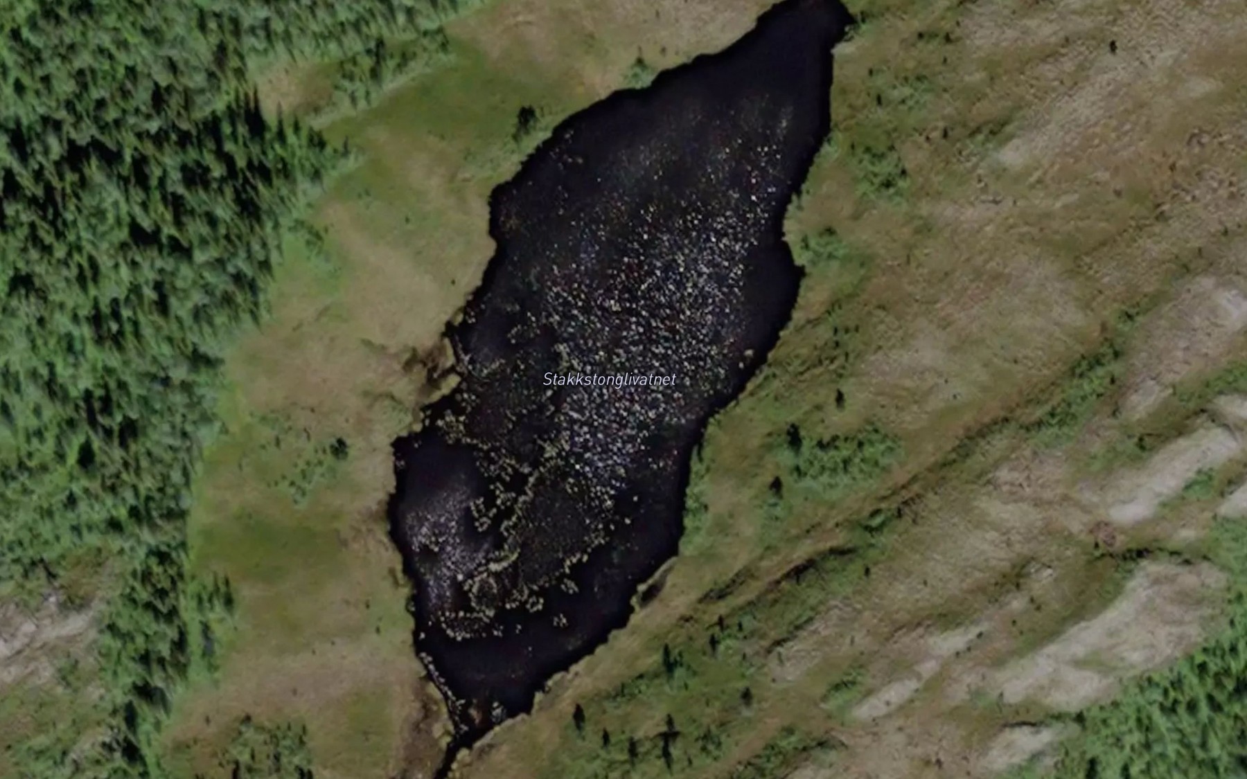 Satellite map of the Stakkstonglivatnet