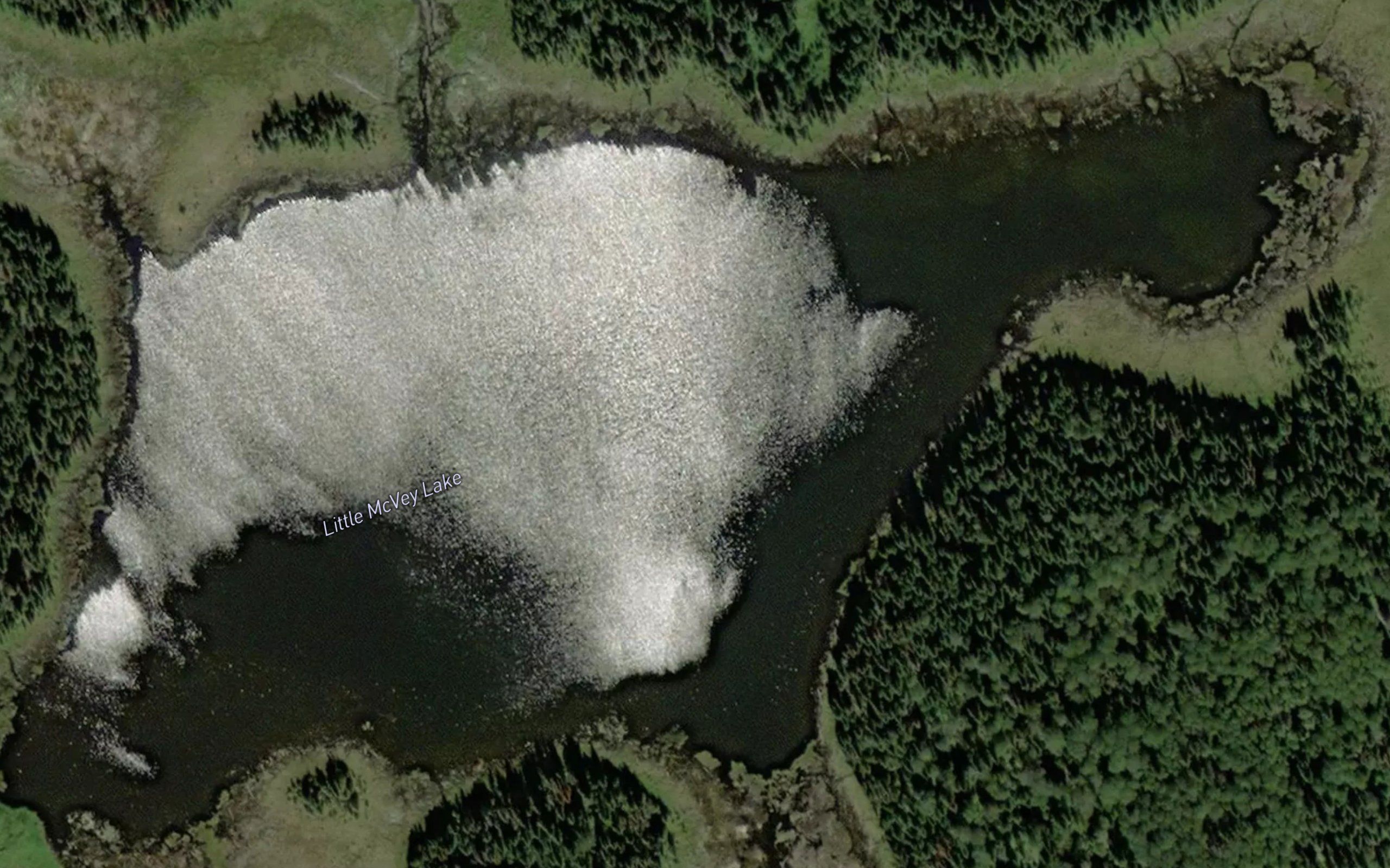 Little McVey Lake