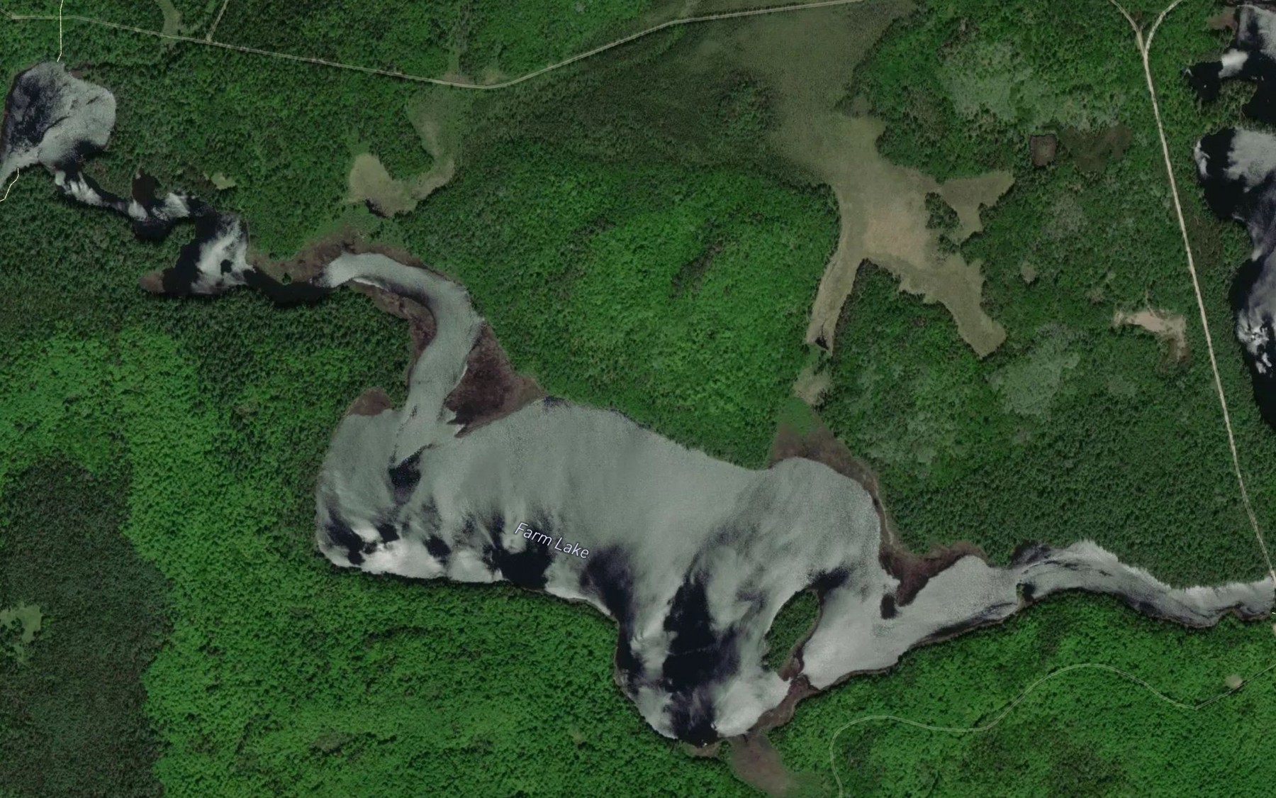Satellite map of the Farm Lake