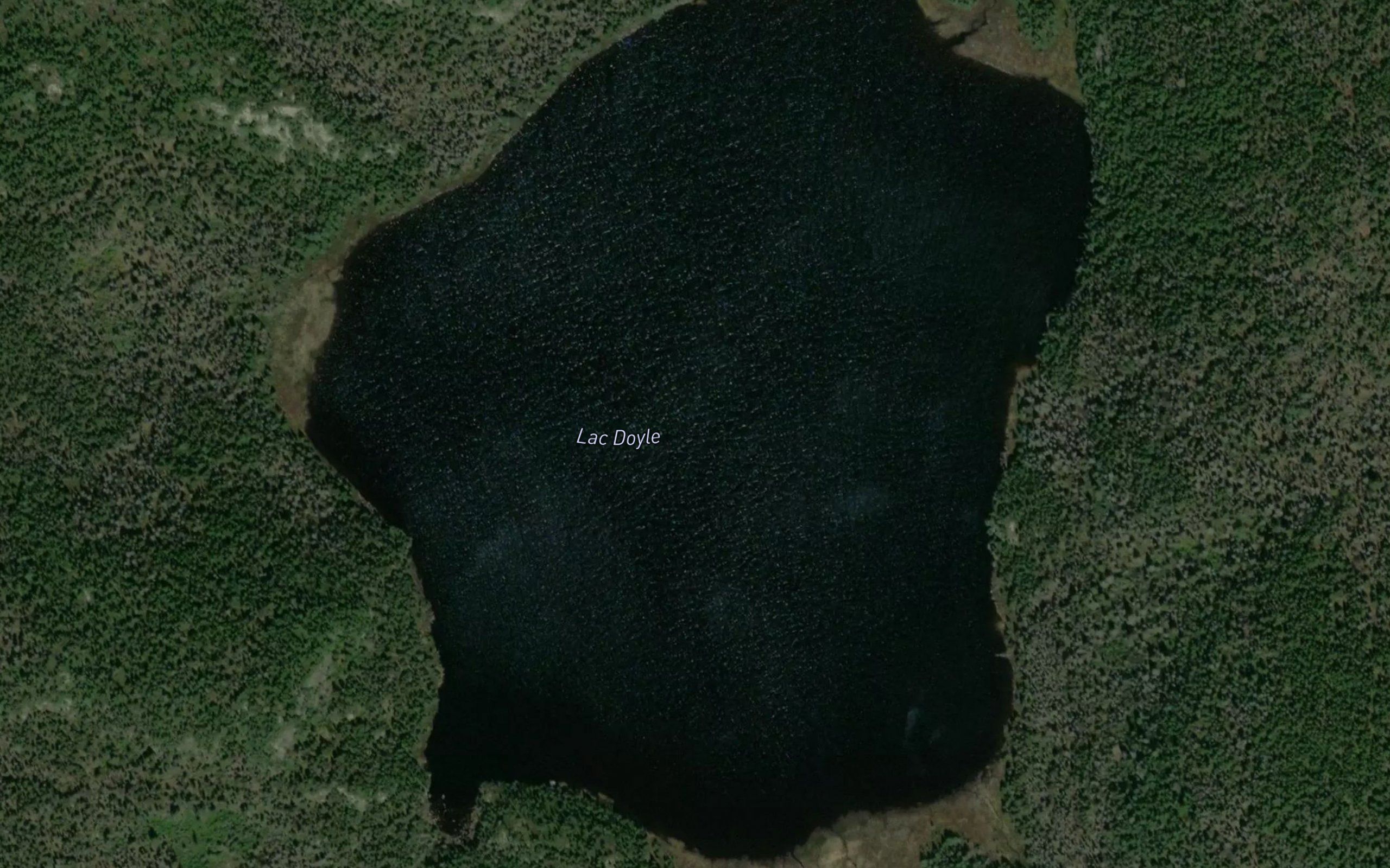 Lac Doyle