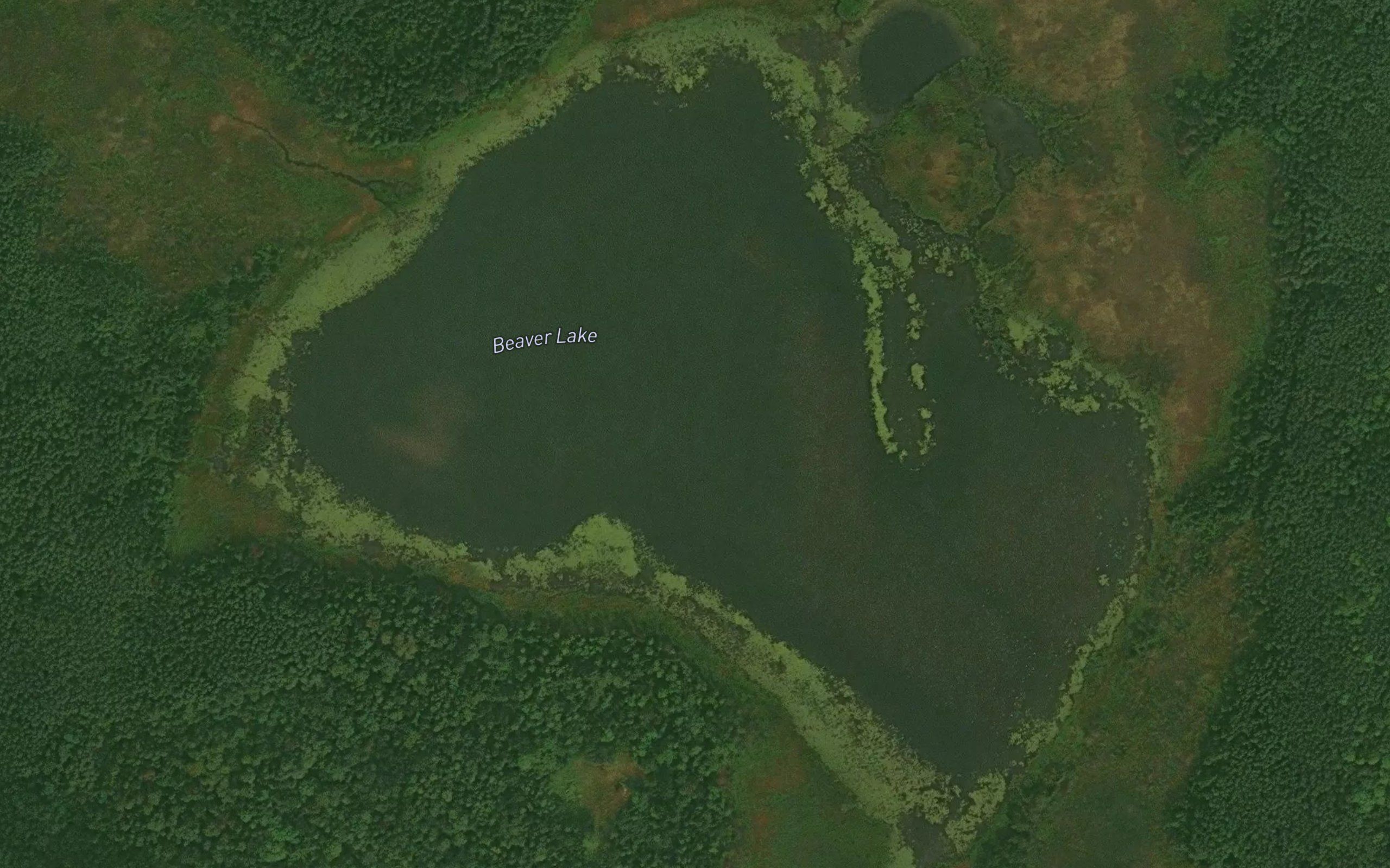 Beaver Lake
