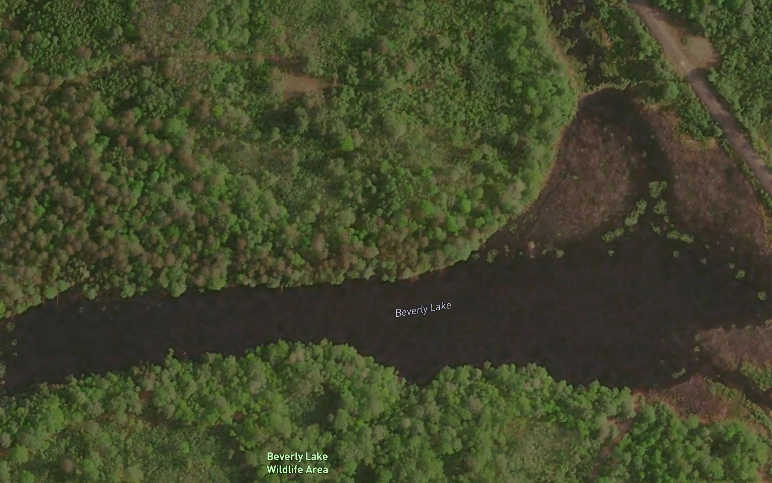 Beverly Lake