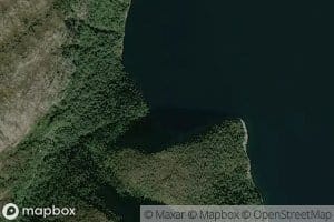 Kattavika