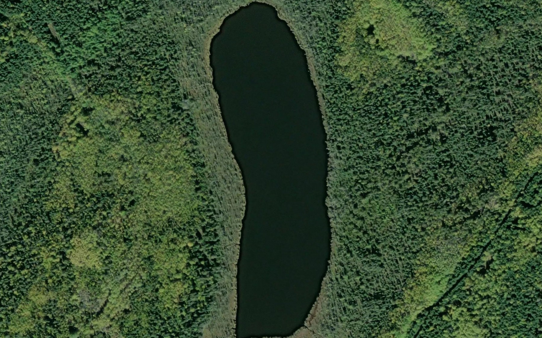 Satellite map of the Baloney Lake