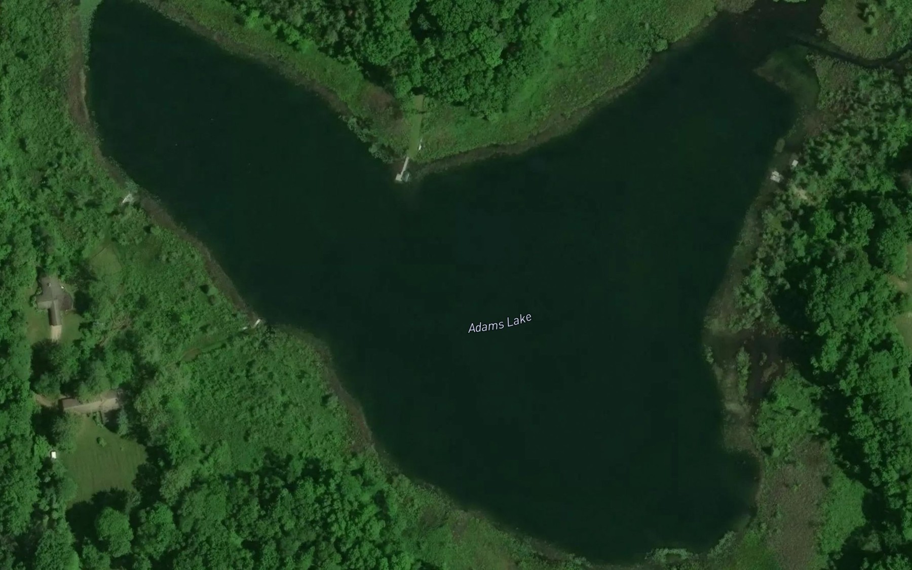 Satellite map of the Adams Lake