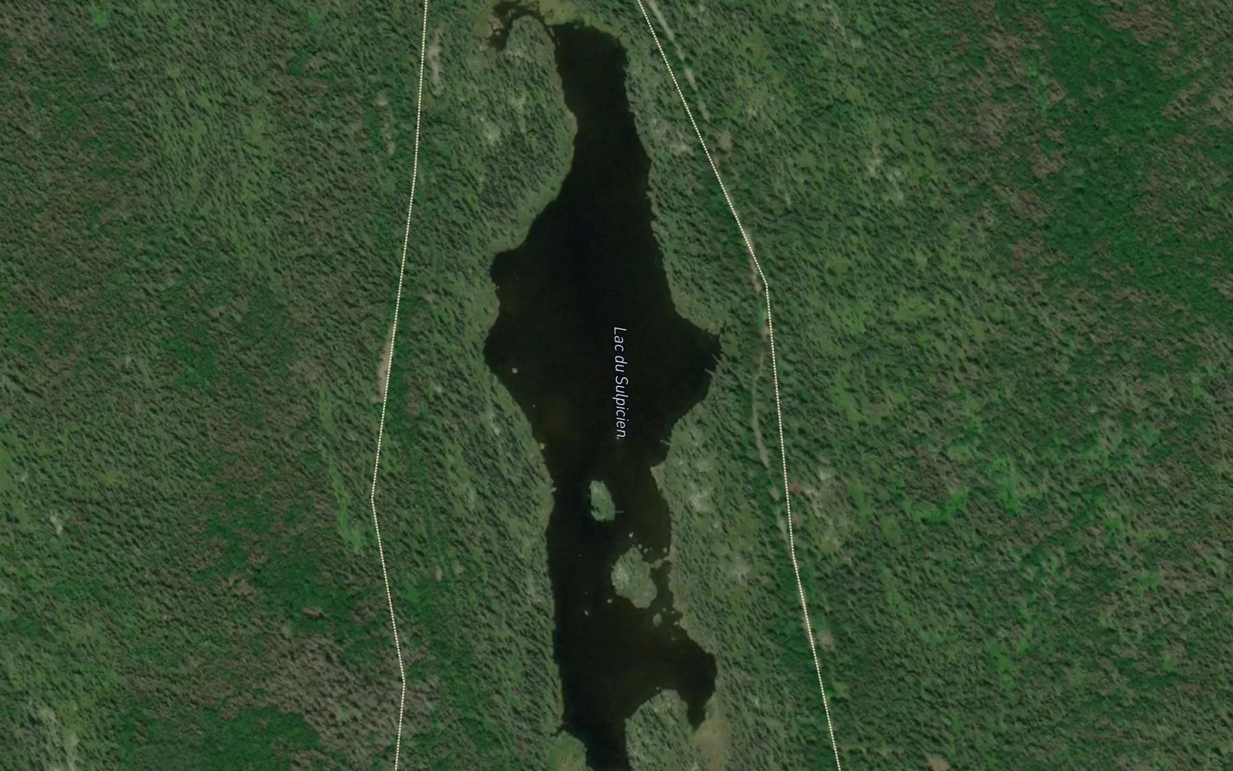 Satellite map of the Lac du Sulpicien