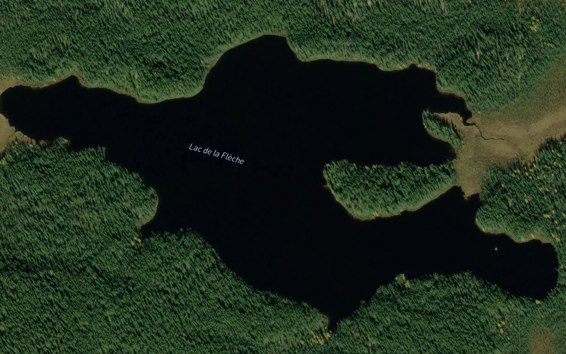 Satellite map of the Lac de la Fleche