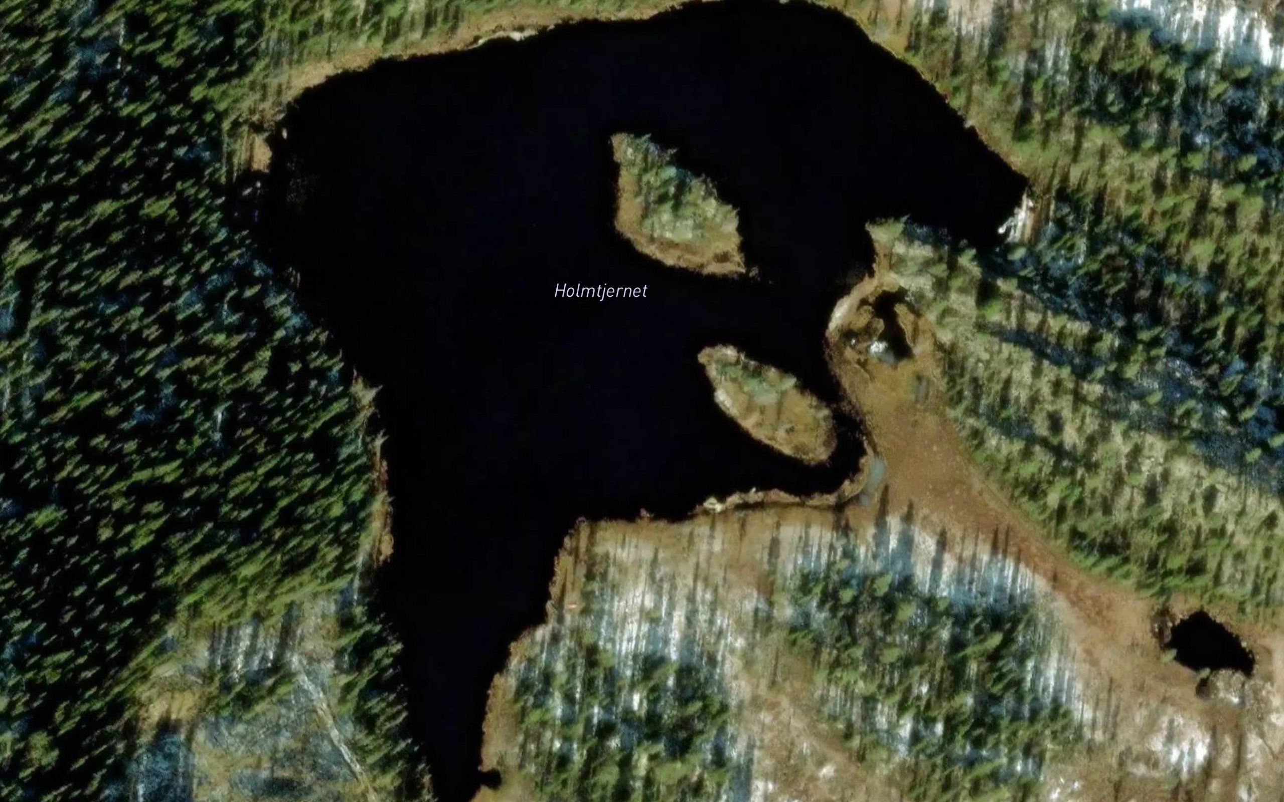 Holmtjernet