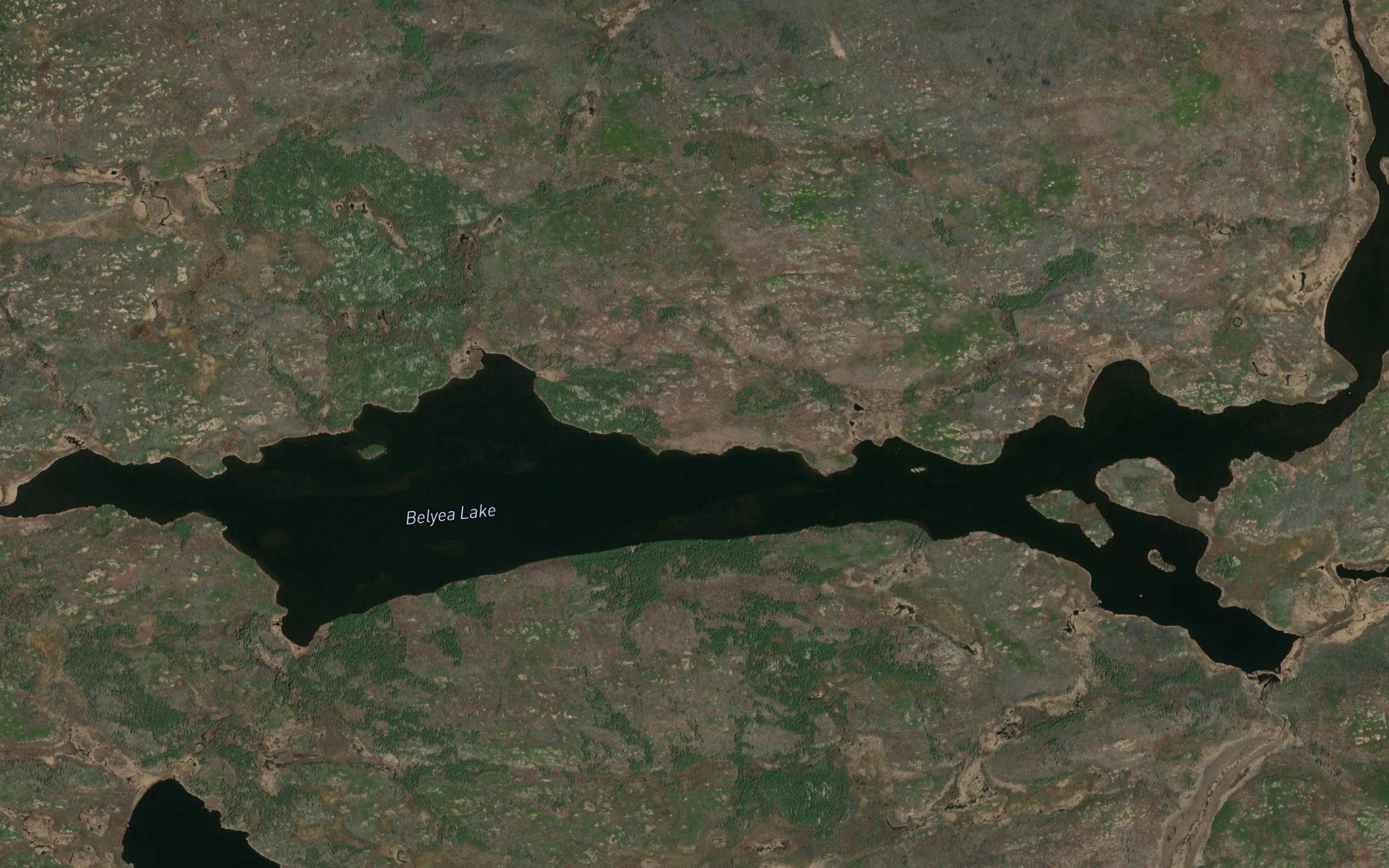 Belyea Lake