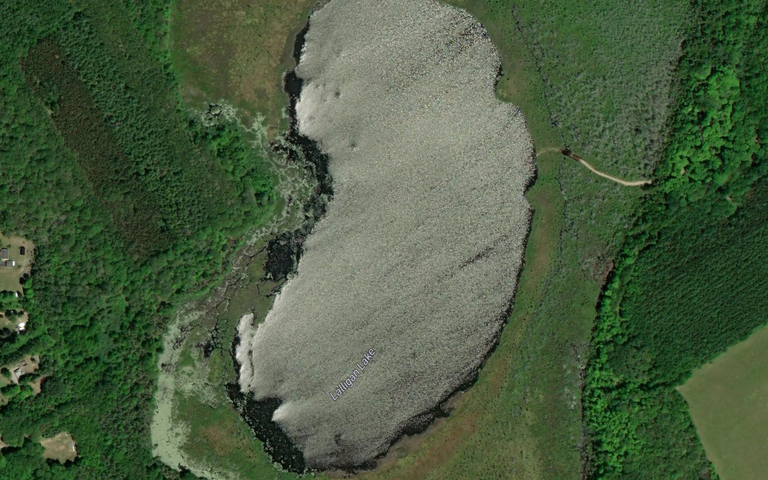 Lalligan Lake