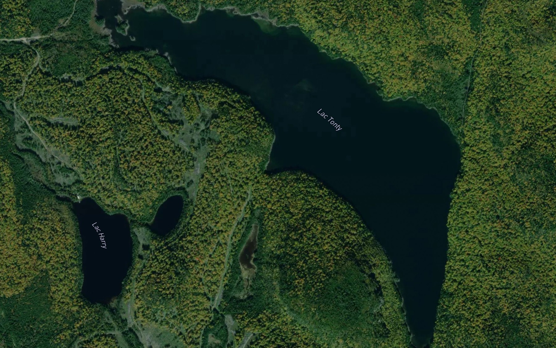 Satellite map of the Lac Tonty