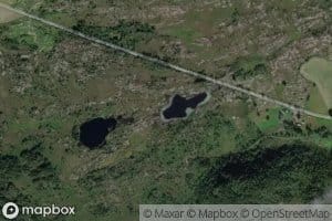 Instetjorna