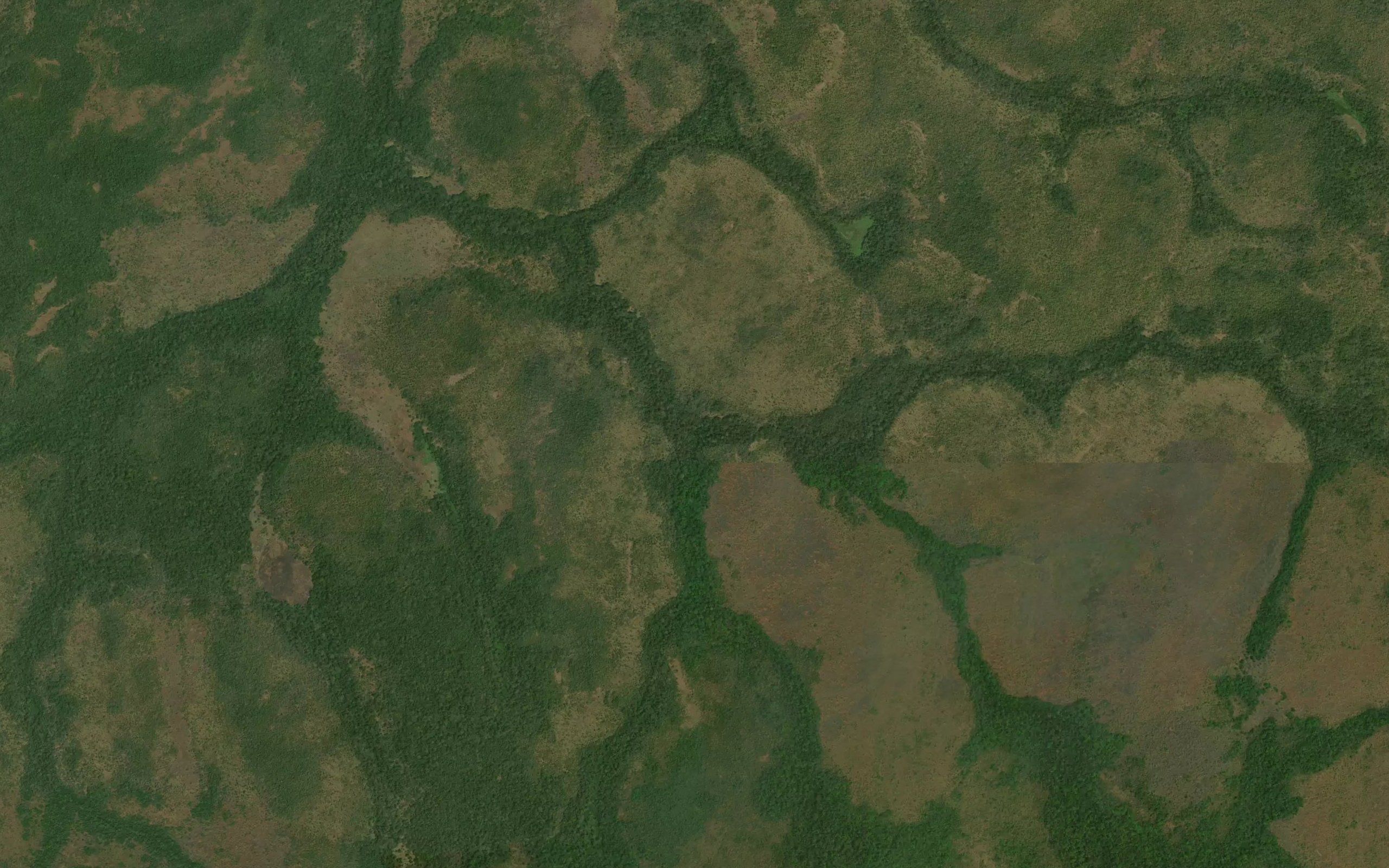 Sekeka