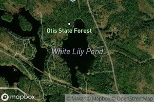 White Lily Pond