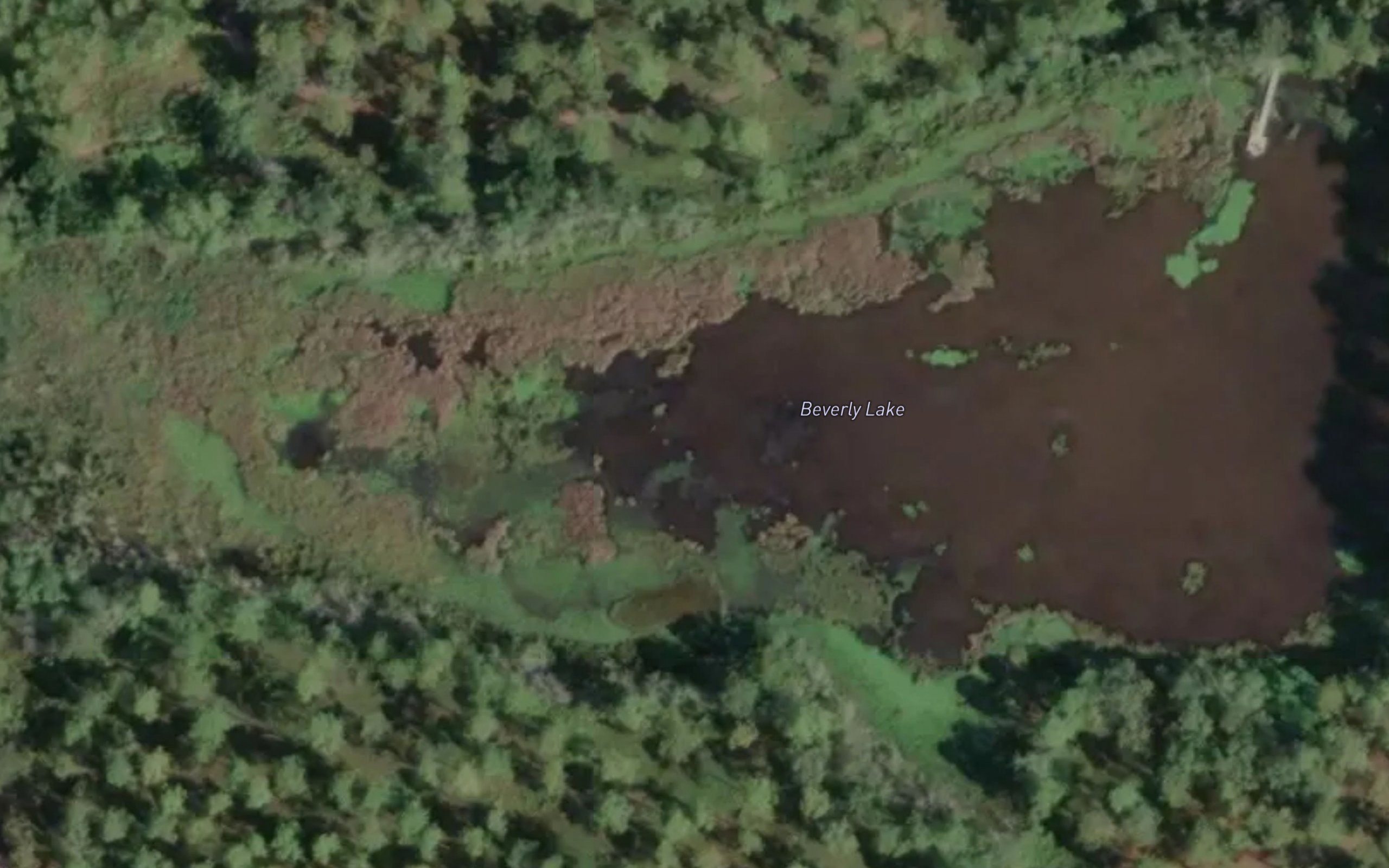 Beverly Lake