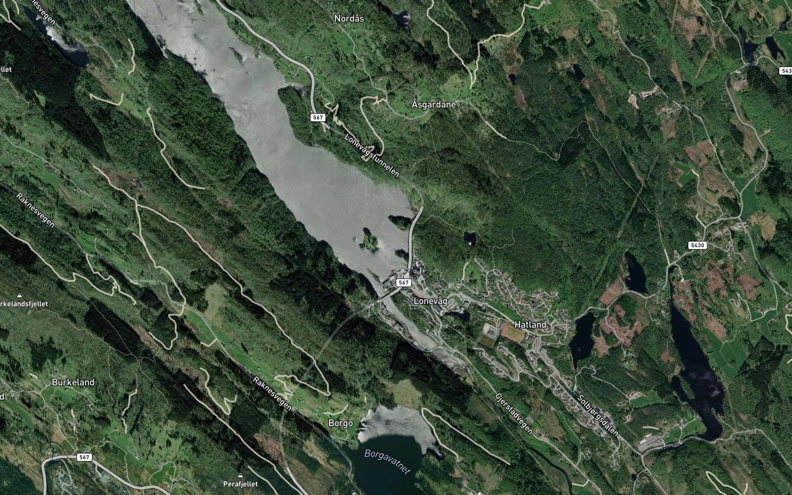 Barkaviki