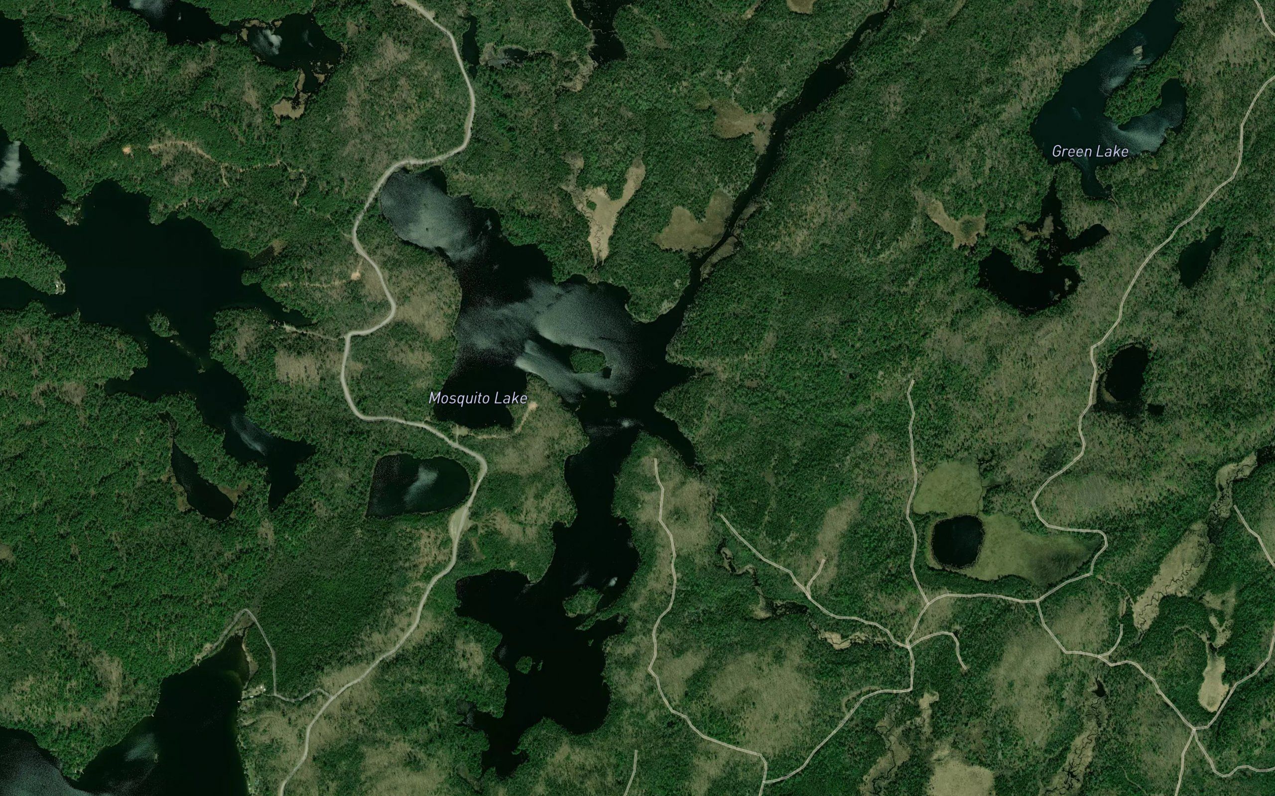 Mosquito Lake