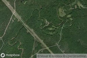 Mainer Branch