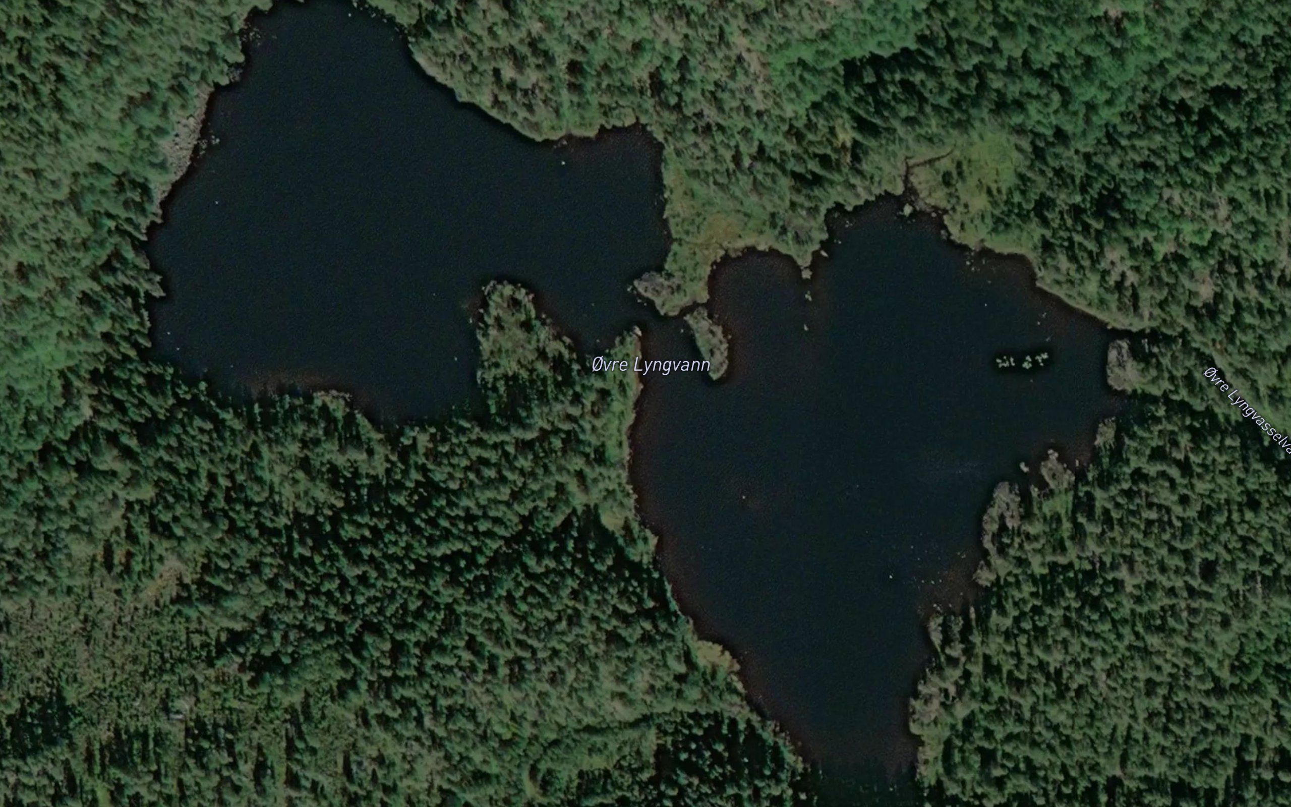 Lyngvann,ovre