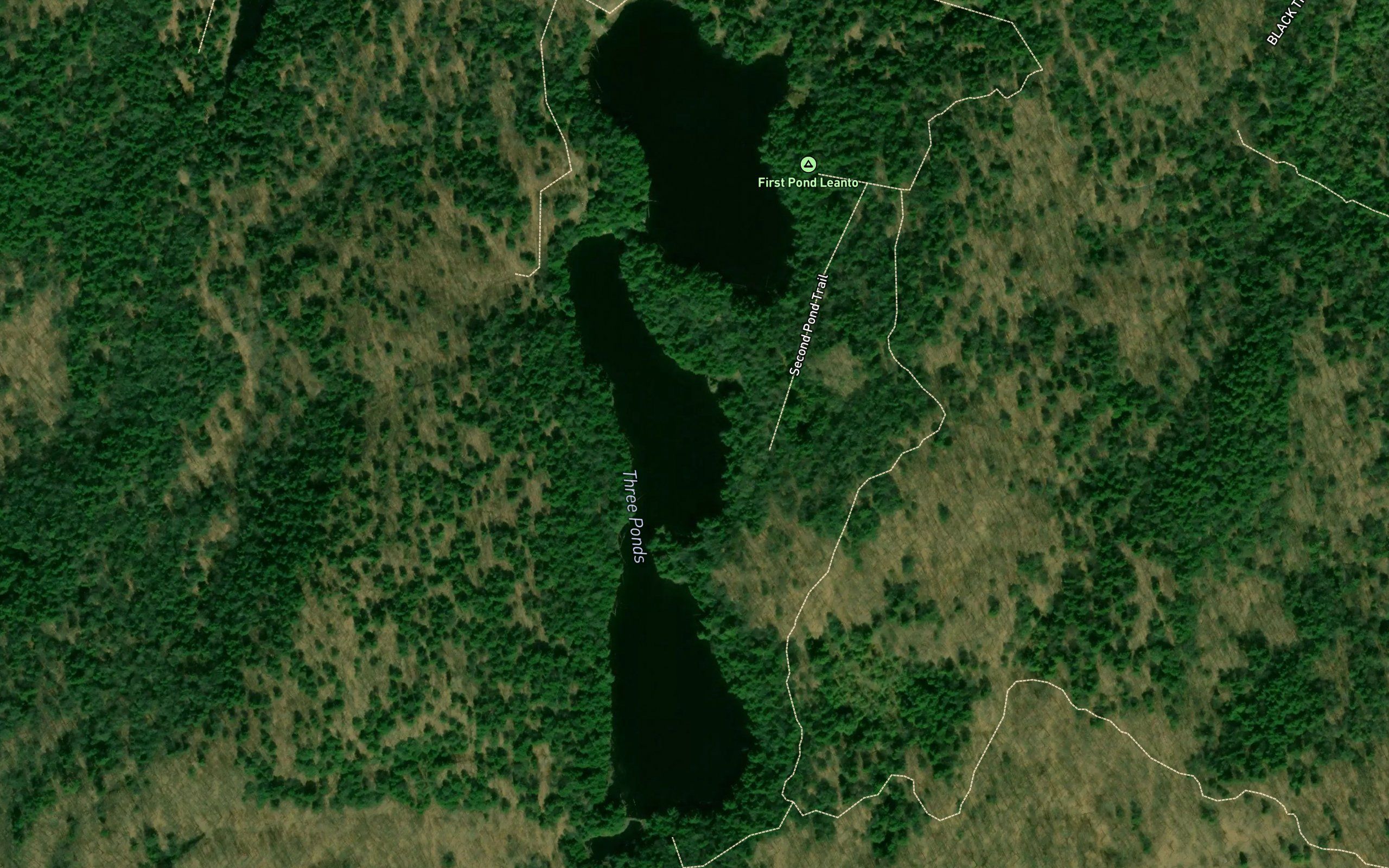 The Three Ponds