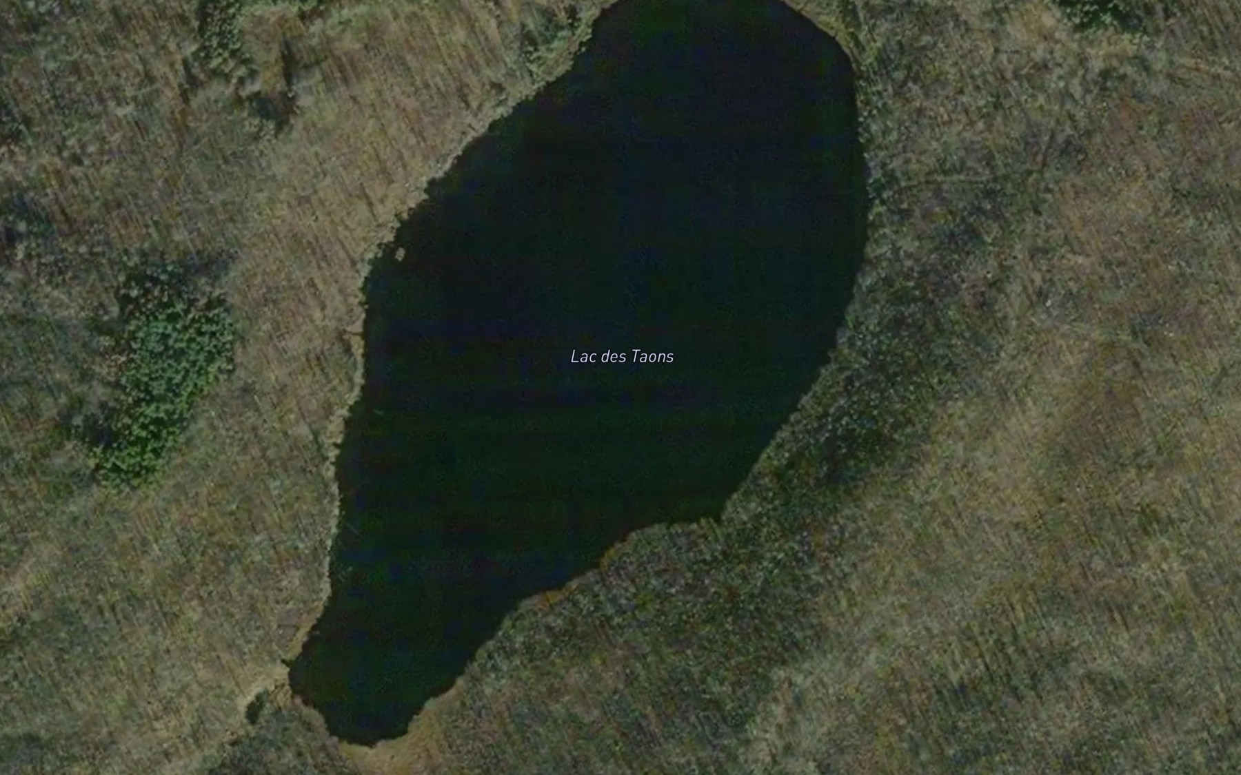 Satellite map of the Lac des Taons
