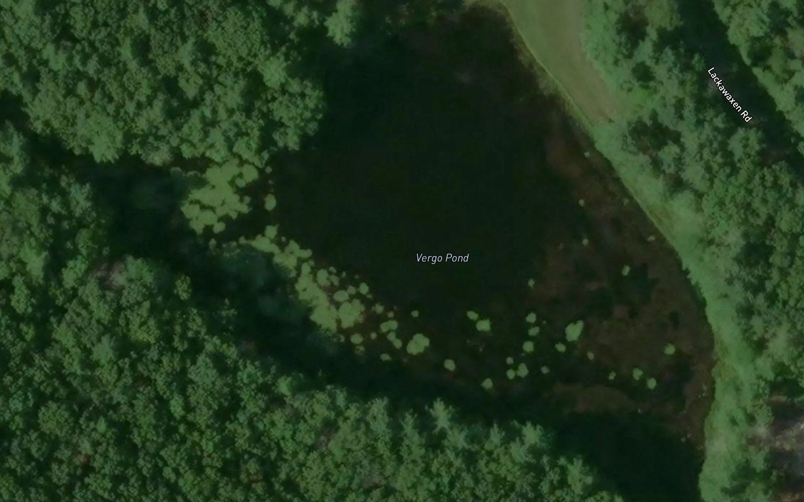 Verga Pond