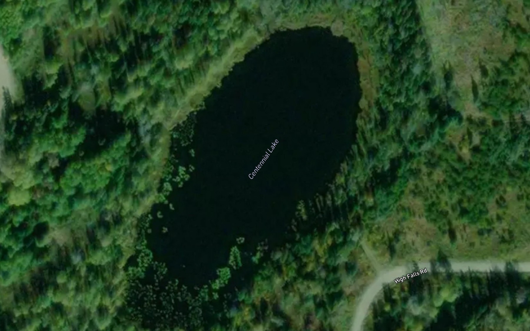 Satellite map of the Centennial Lake