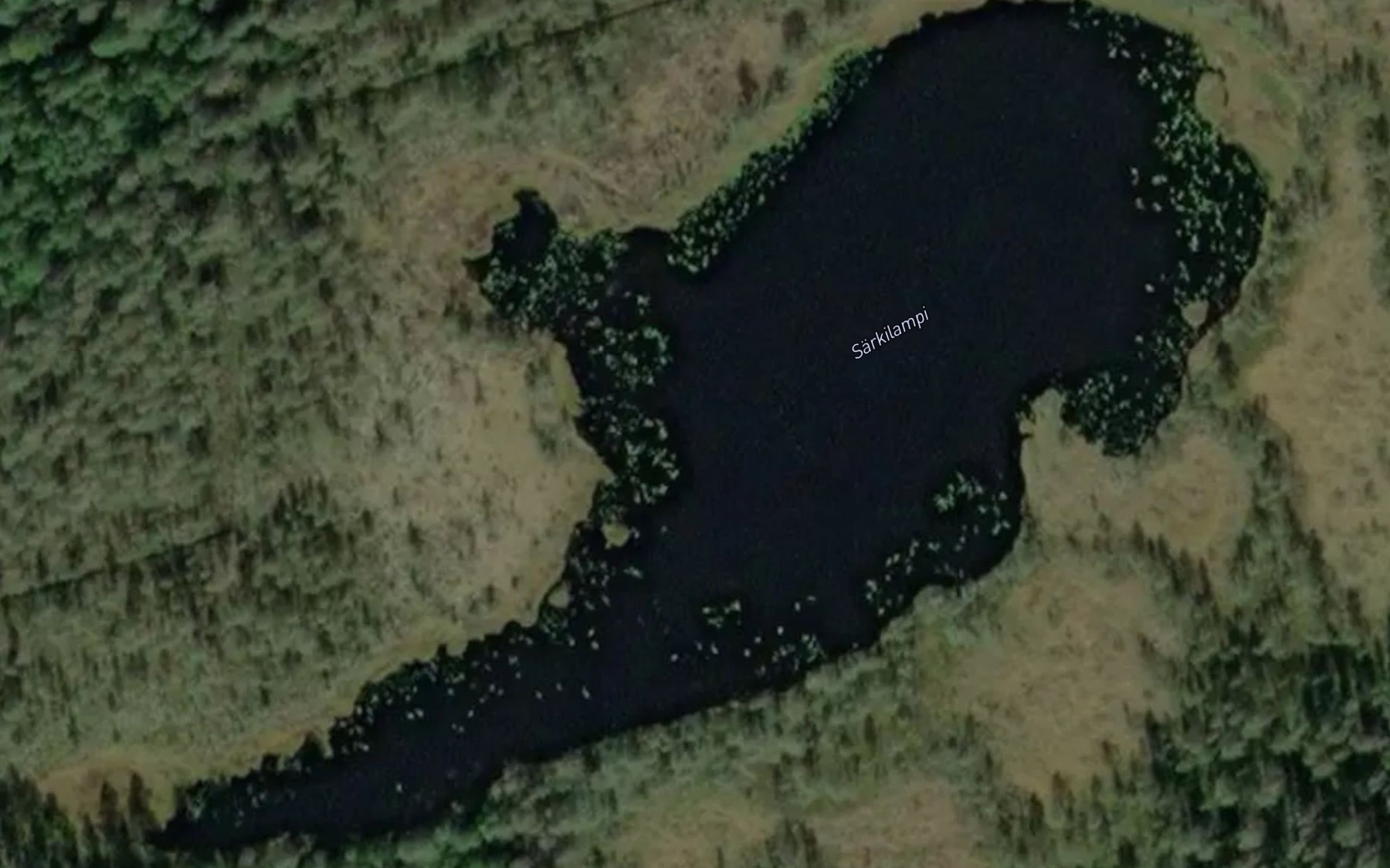 Satellite map of the Sarkilampi