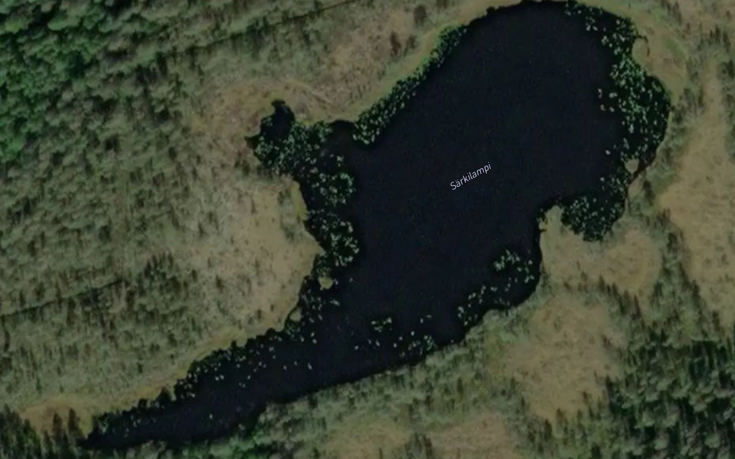 Sarkilampi