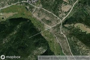 Taylor Creek