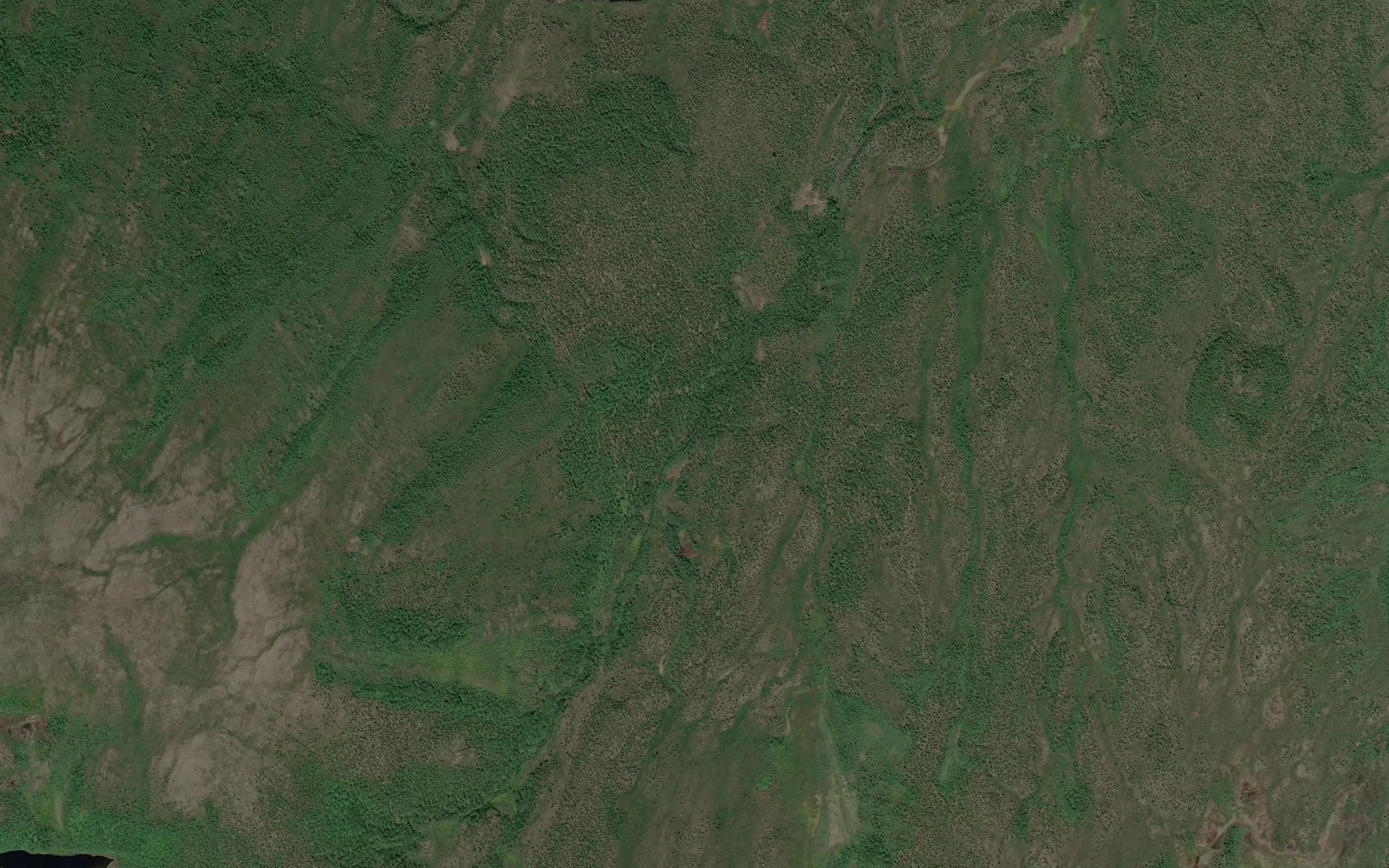 Skierrevaraja