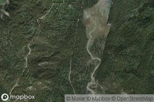 Tame Creek