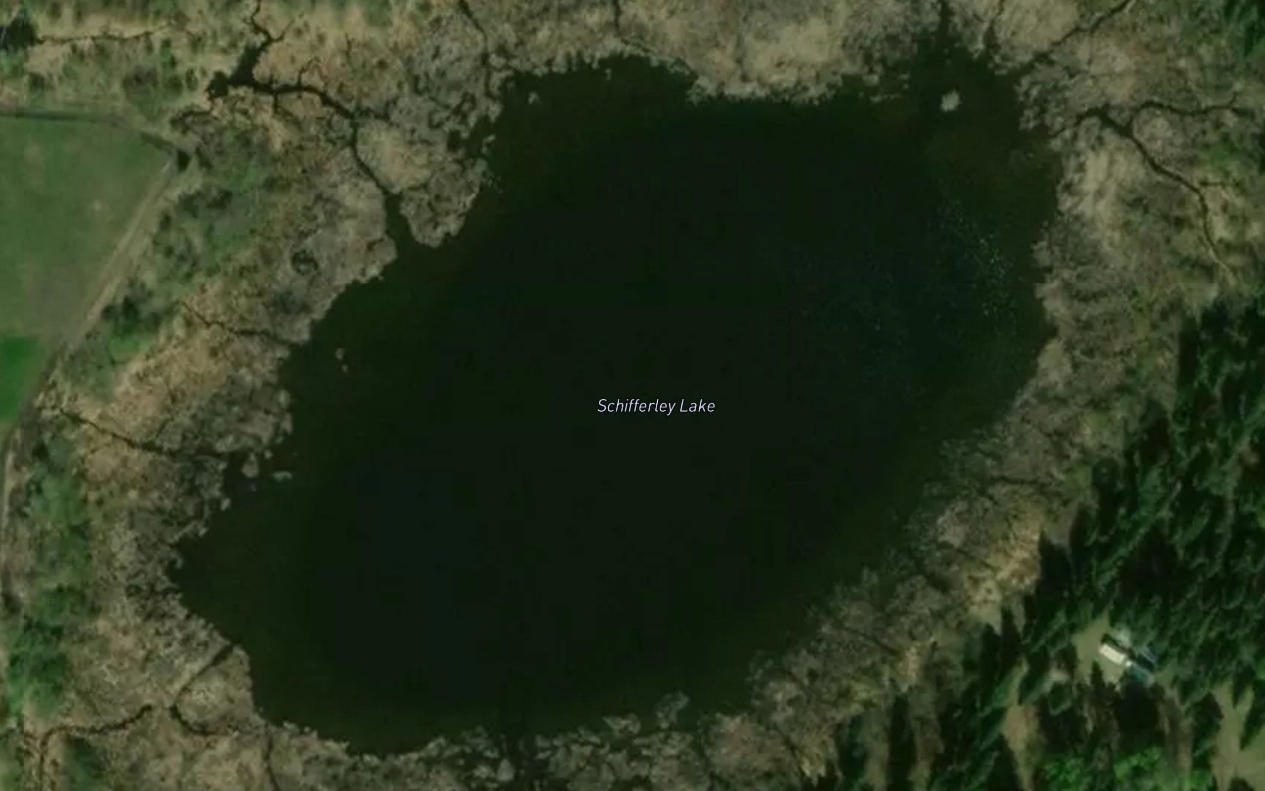 Schifferley Lake