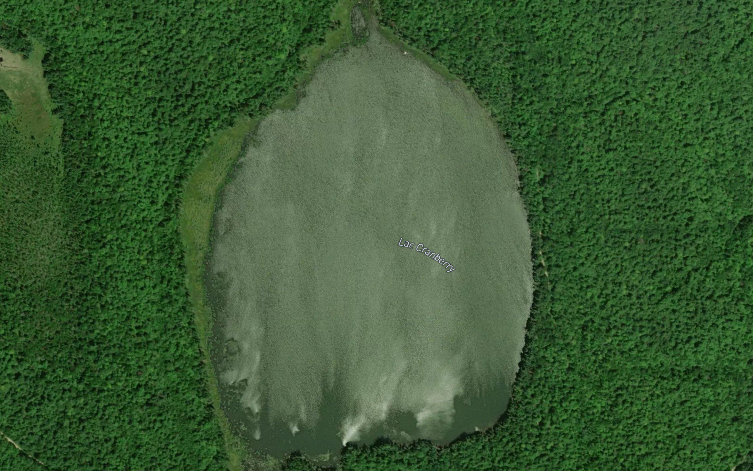 Lac Cranberry