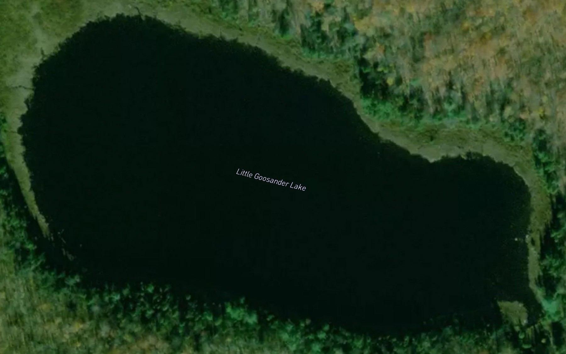 Satellite map of the Little Goosander Lake