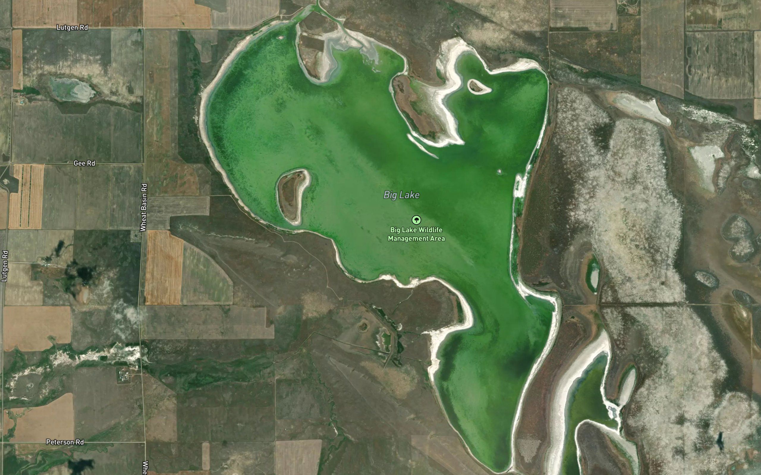 Big Lake