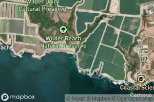 Wilder Creek