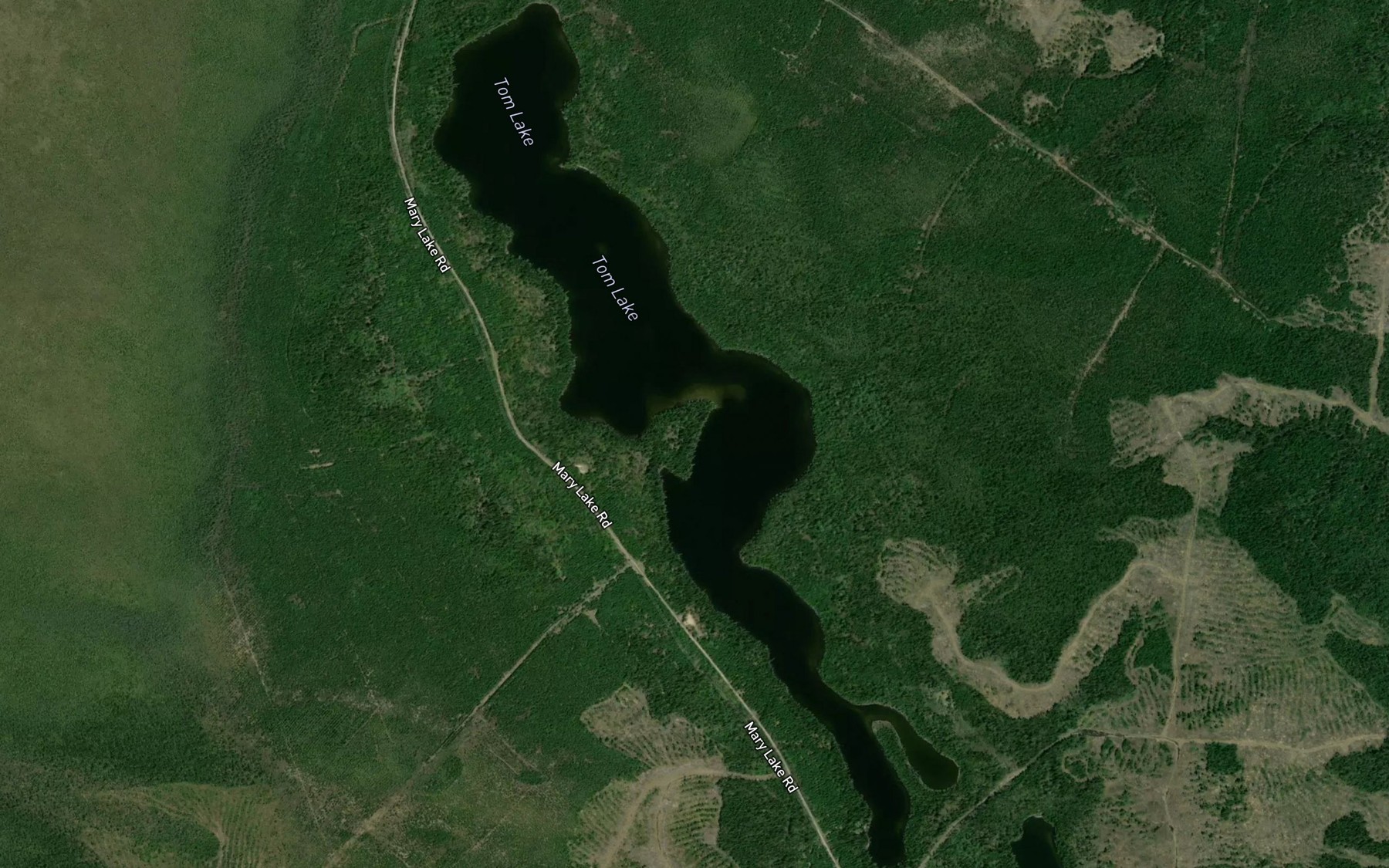 Satellite map of the Tom Lake