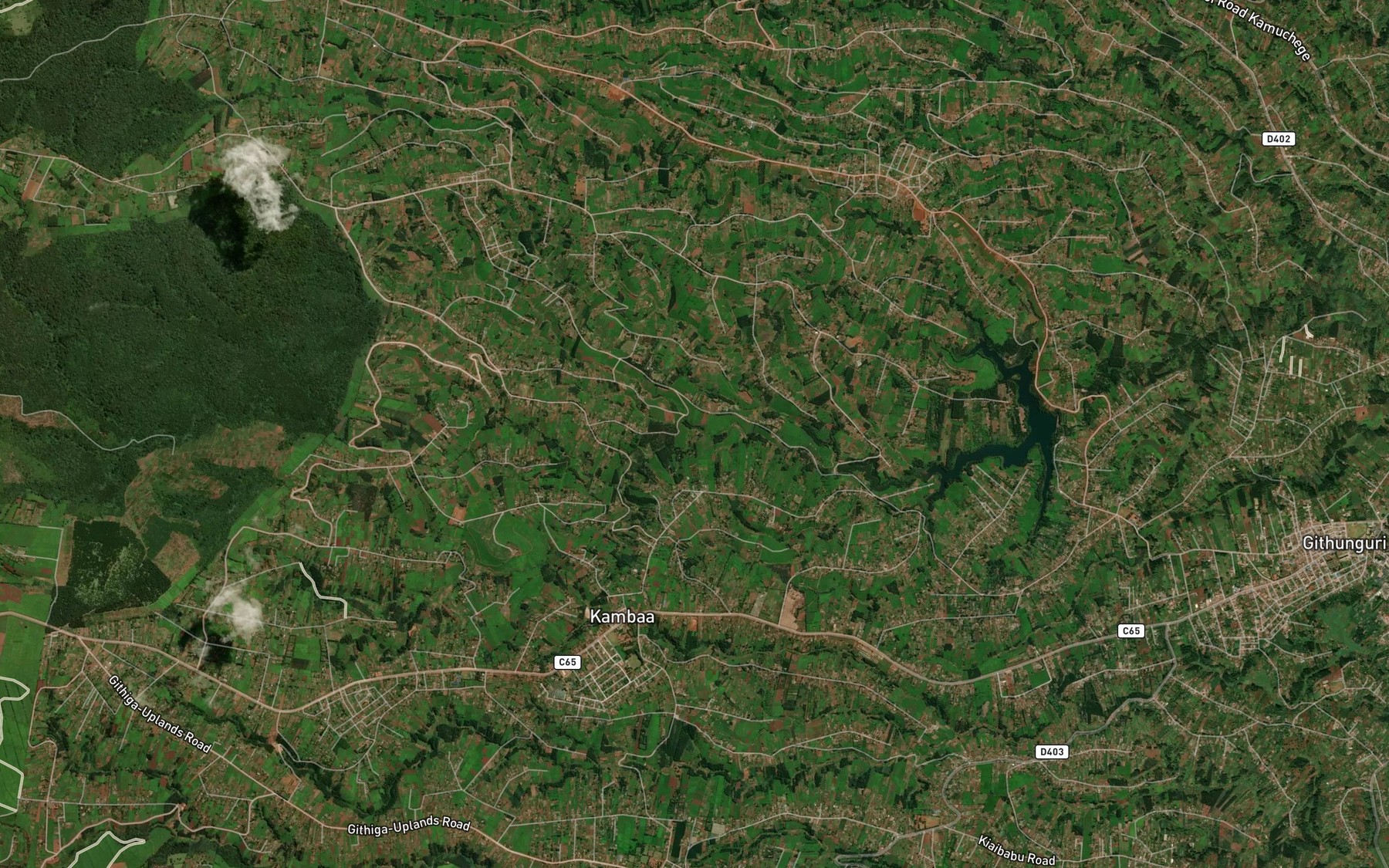 Satellite map of the Rungiki