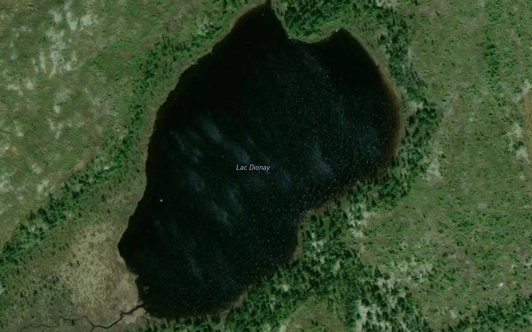 Satellite map of the Lac Dionay